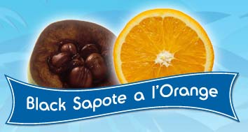 Black Sapote a l'Orange Sorbet