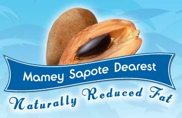Mamey Sapote Dearest Ice Cream
